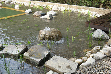 Der Schwimmteich im Ruhrgebiet  - Gartenbau und Landschaftsbau  - Spezialisten für  Wasser im Garten
